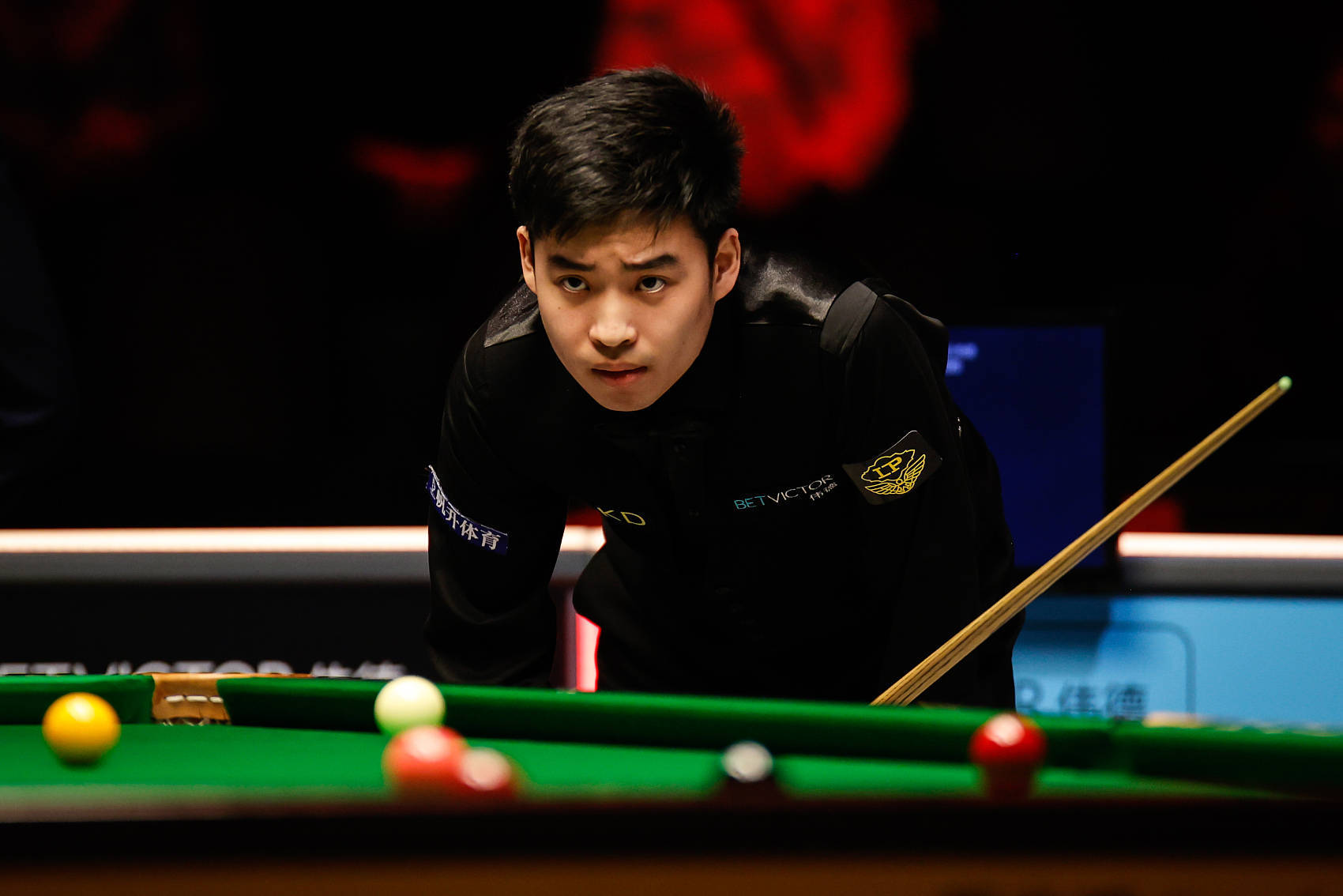 她的这一特 她的这一特