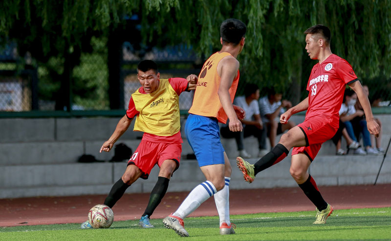 历史情结提 历史情结提